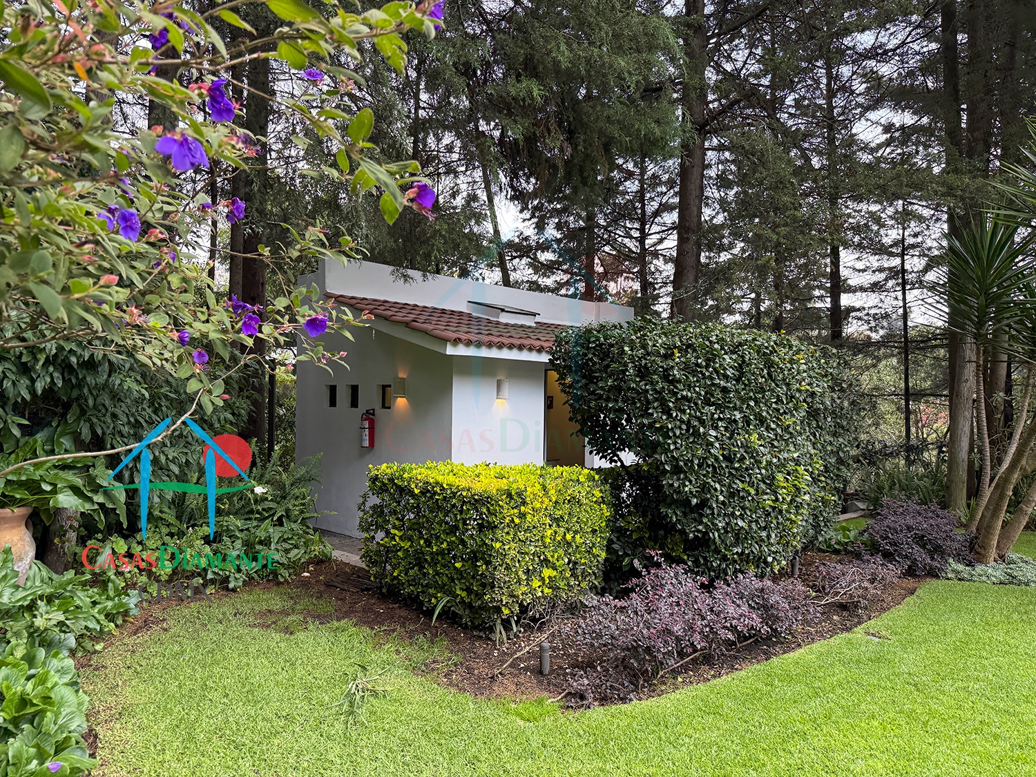 Rancho San Francisco Casa Encino - Jardín 17